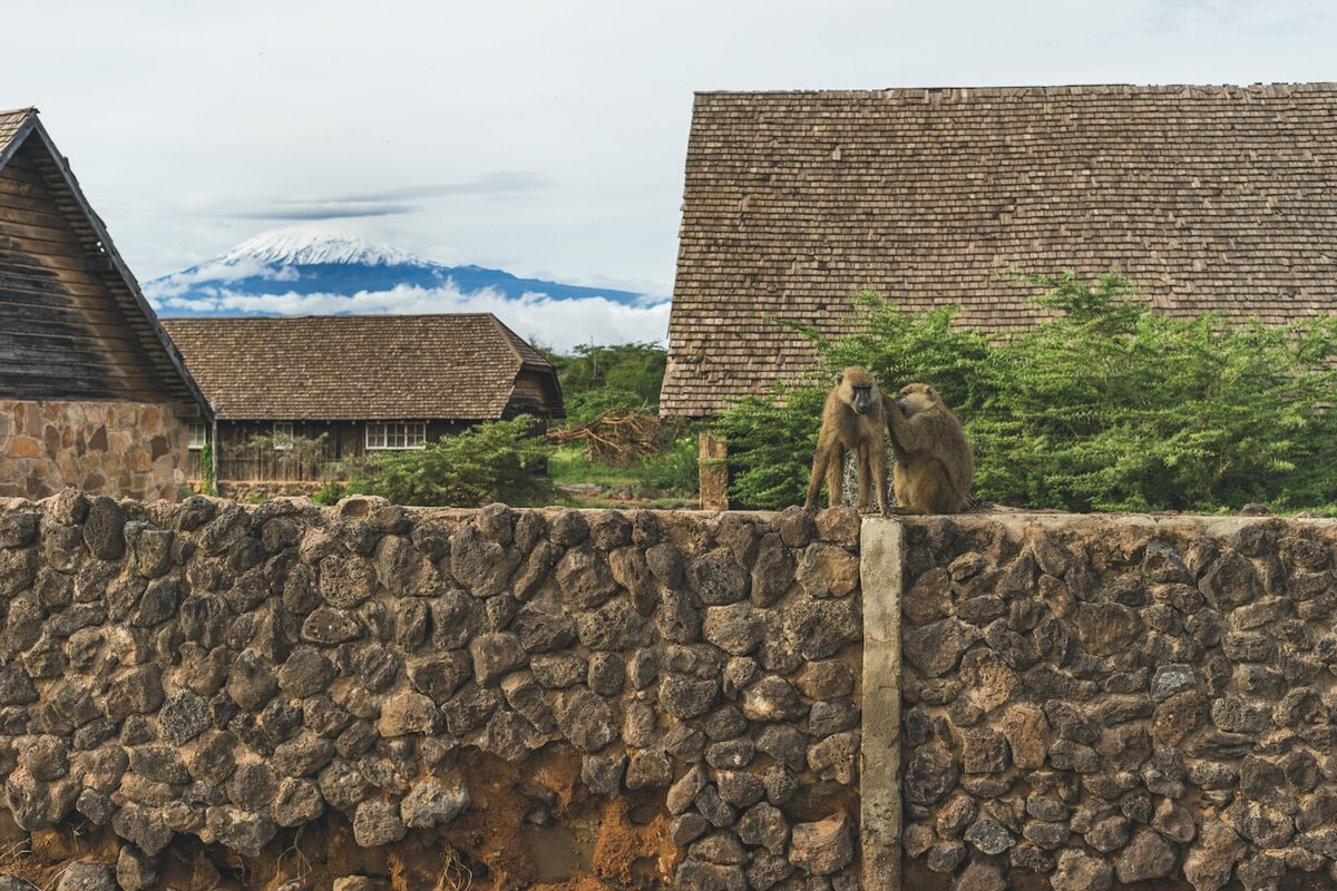 Clouds and fog on Mount Kilimanjaro