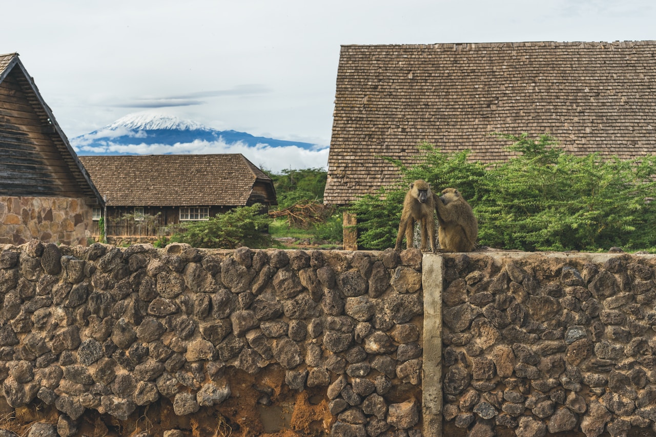 Climbing Kilimanjaro in rainy season