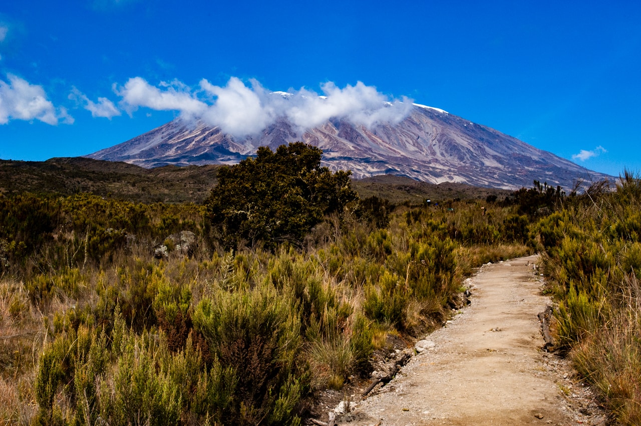 Kilimanjaro guide on the mountain